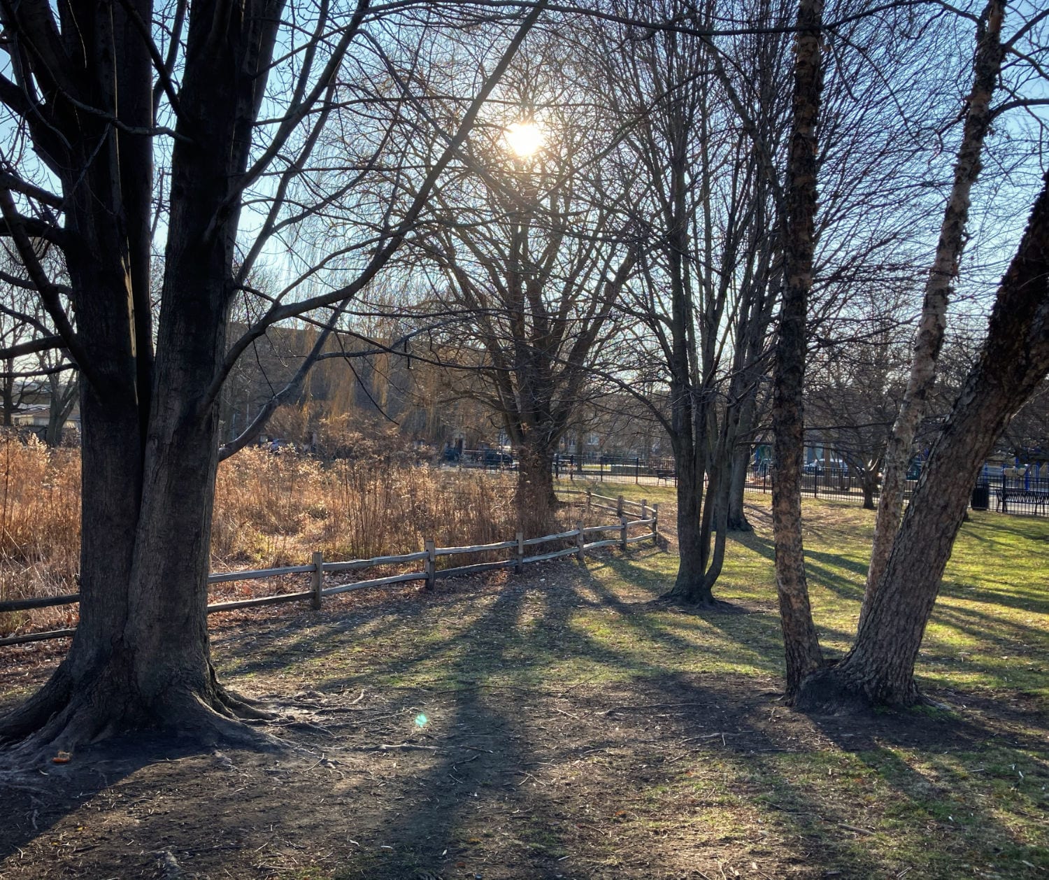 Winnemac Park, Chicago, IL photo by Emily Rapport