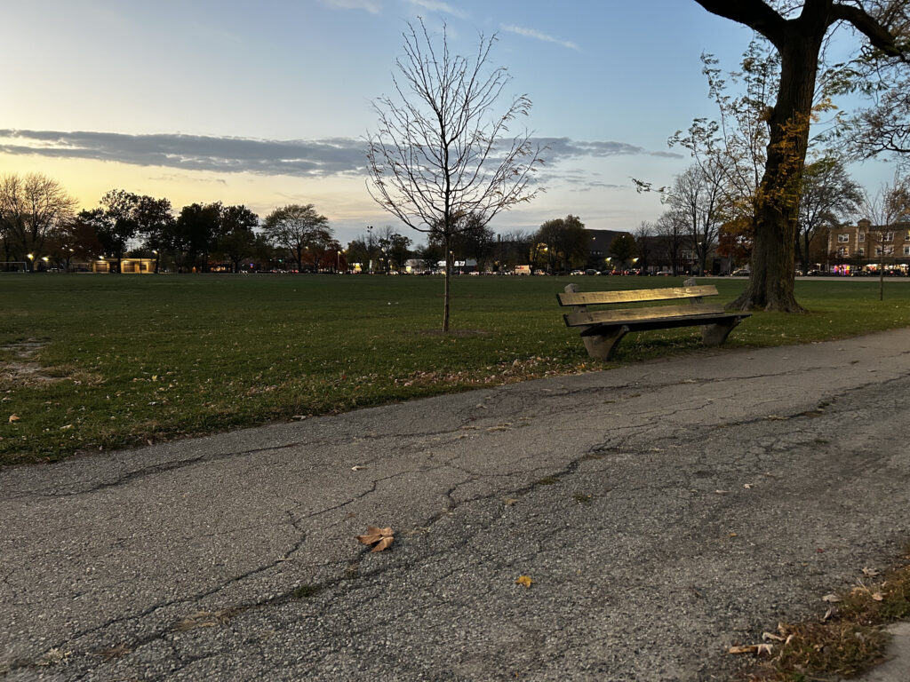 Mather Park bench and uneven payment at sunset